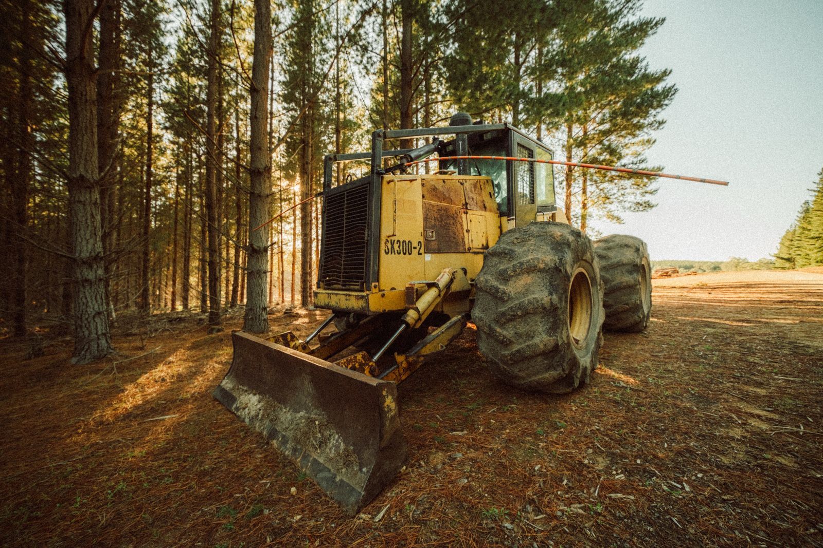Excavator clearing land at sunset in South Carolina